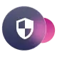 Icon: 100% Private & Secure