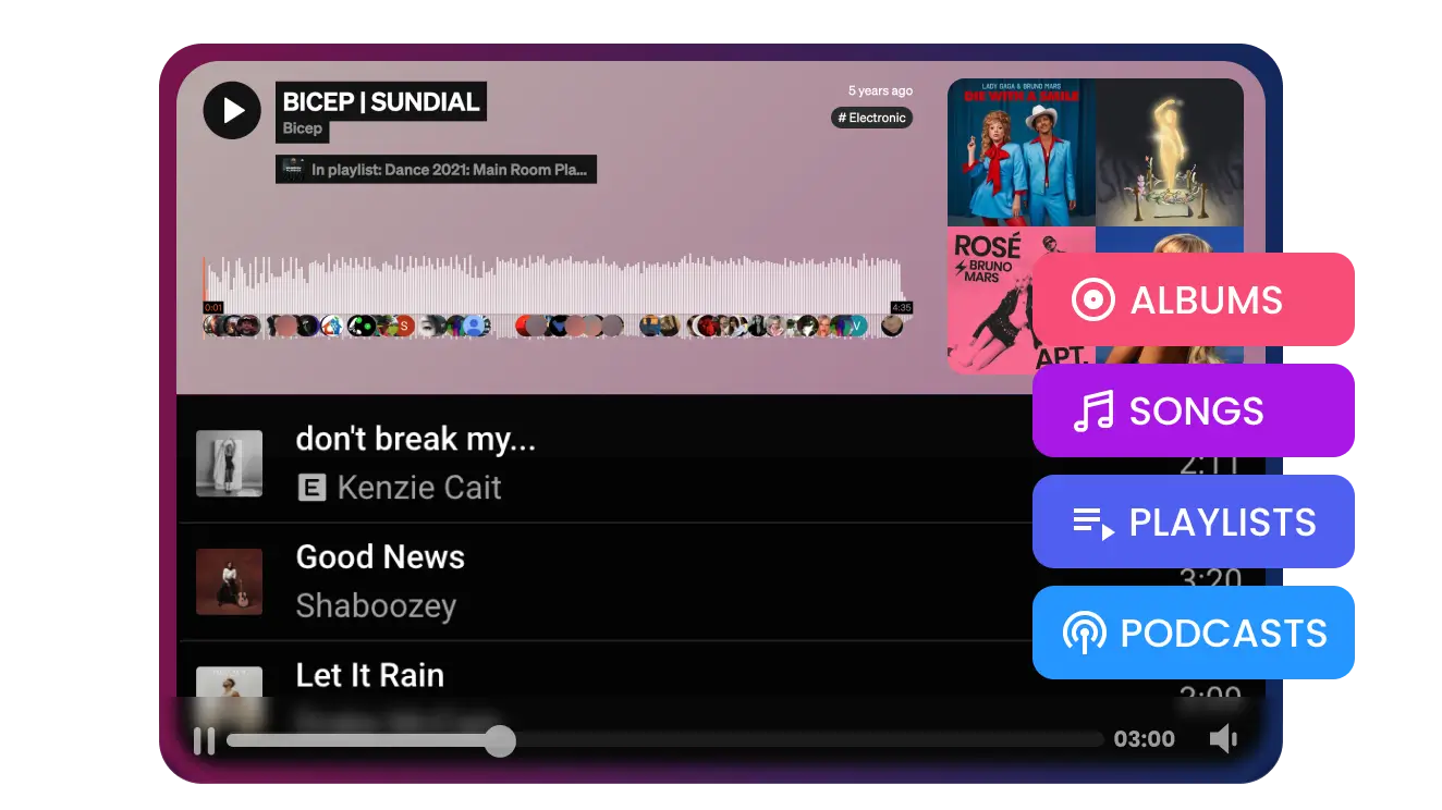 Songs & Playlists, Albums, Podcasts & Shows