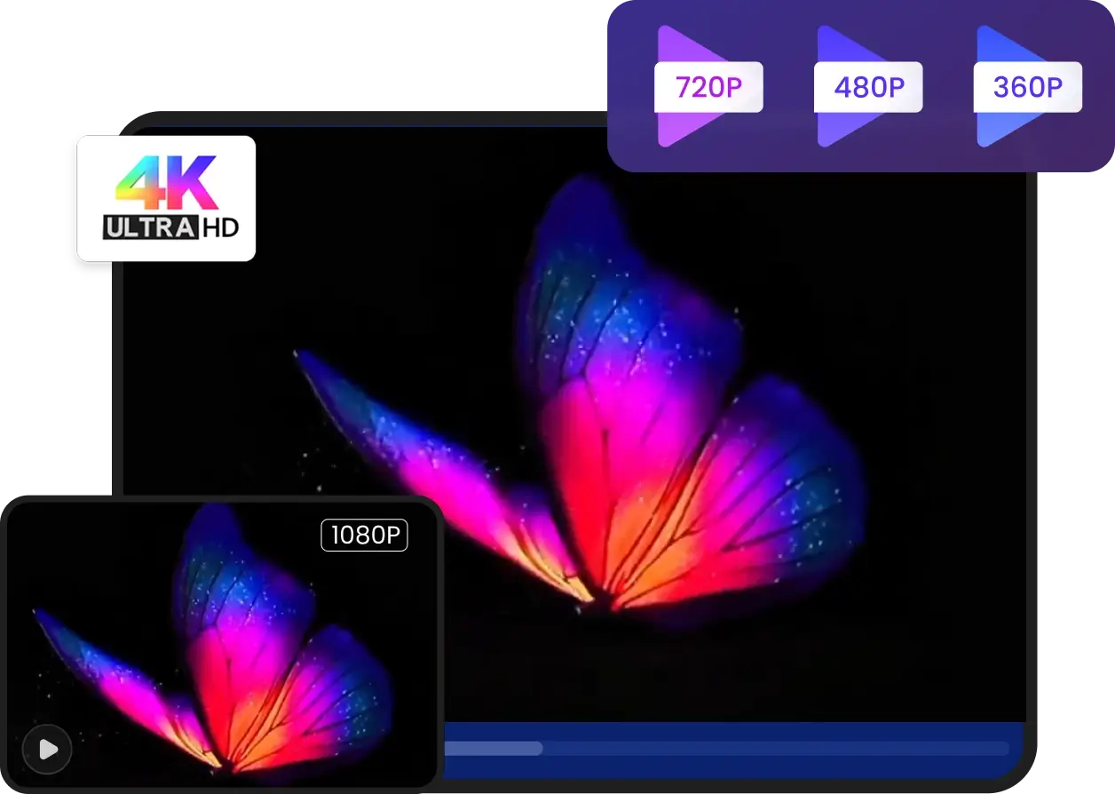4K Video Download