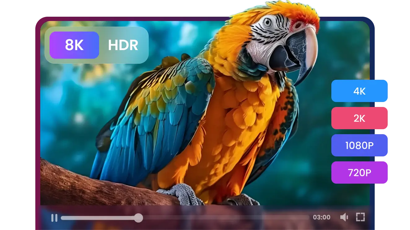 完璧を保つ本物の 4K クオリティ